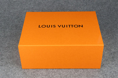 LVT Trainer #54 Damier Ebene Multi