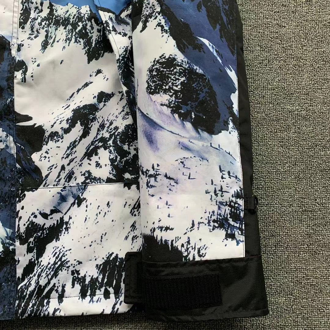 Supreme x The North Face Mountain Parka 'Mountain Print'
