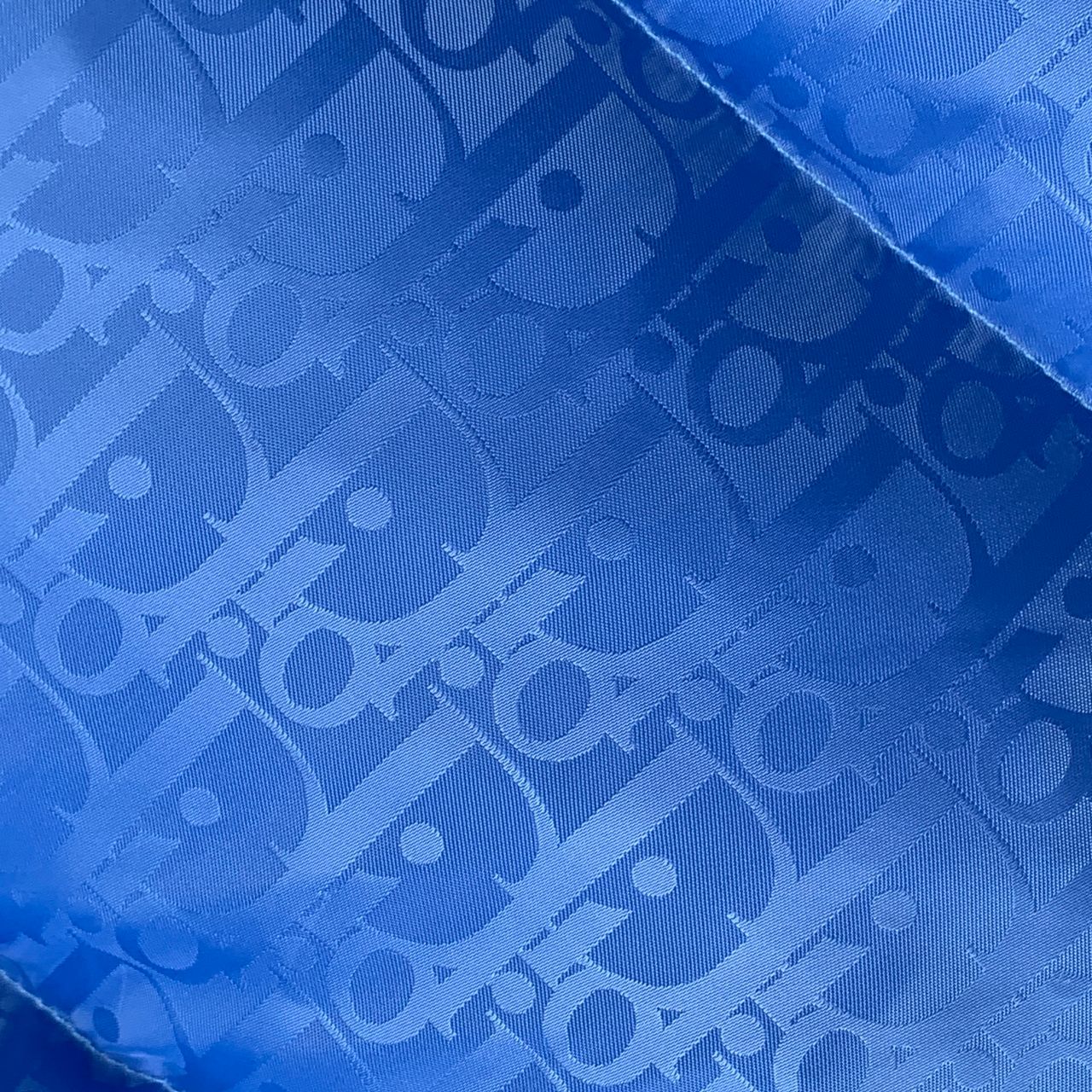 Dior Oblique Down Jacket in Blue Technical Jacquard