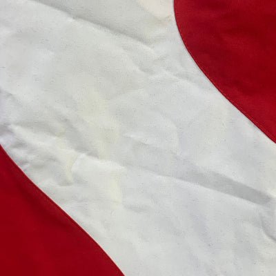 Supreme x The North Face S Logo Mountain Jacket 'Red'