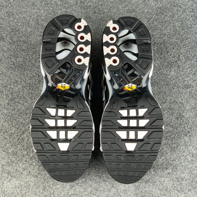 Air Max Plus 'Black Metallic Silver'