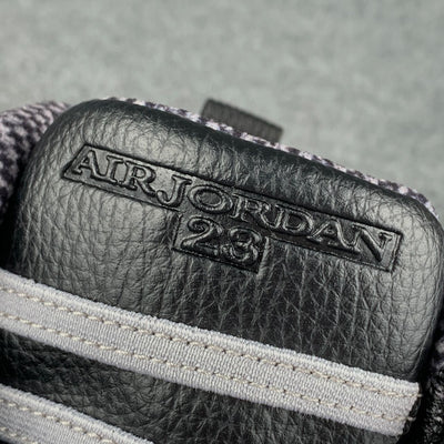 Air Jordan 10 Retro 'Steel' 2025