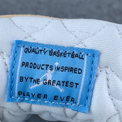 Air Jordan 11 Retro 'H-Town'