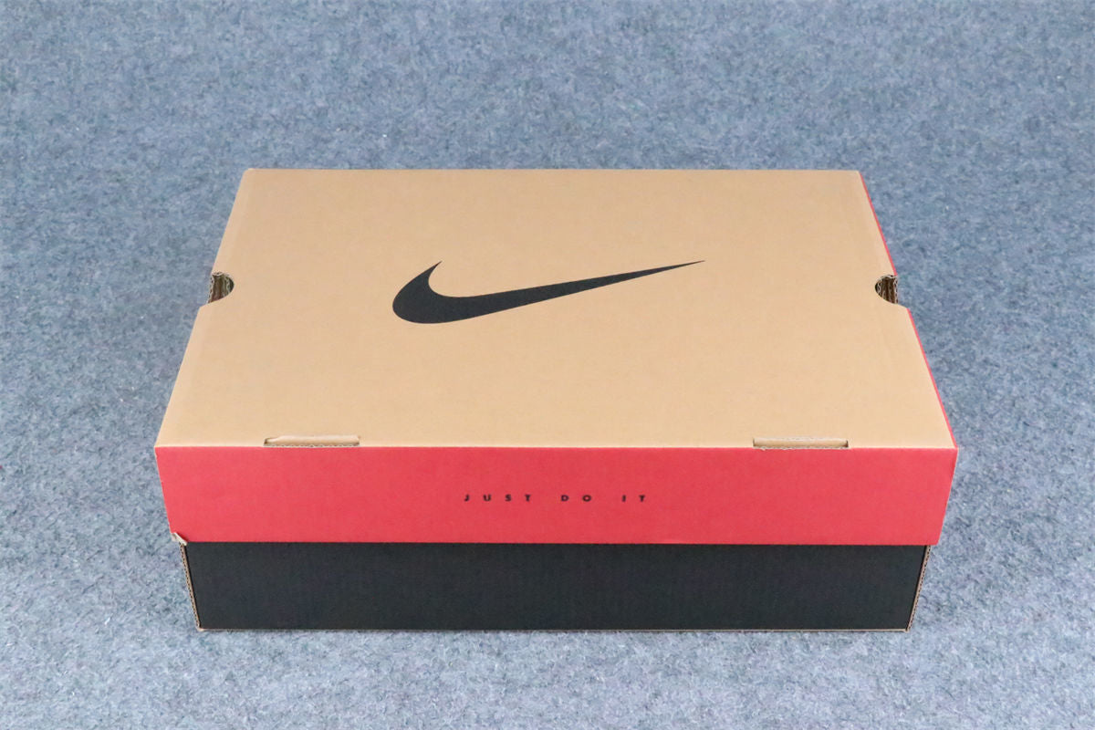 Air Jordan 12 Retro 'Flu Game' 2025