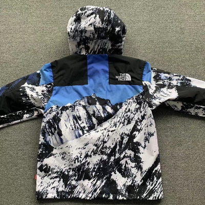 Supreme x The North Face Mountain Parka 'Mountain Print'