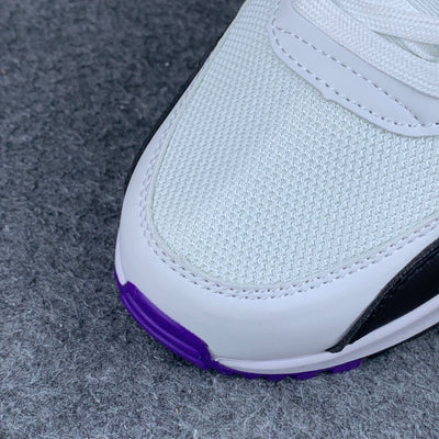 Nike Air Max 90 Essential 'Raptors'