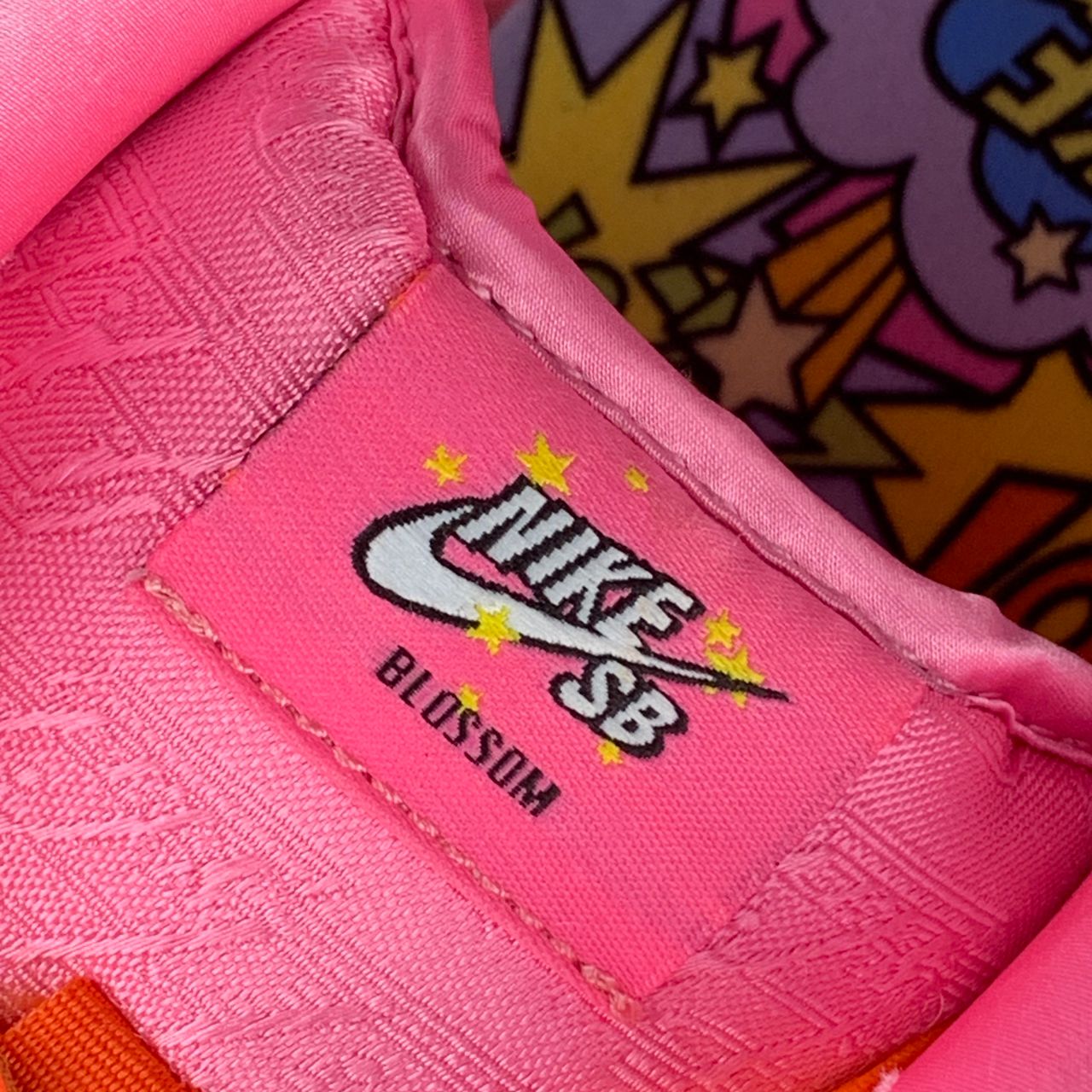The Powerpuff Girls x Dunk Low Pro SB QS 'Blossom'