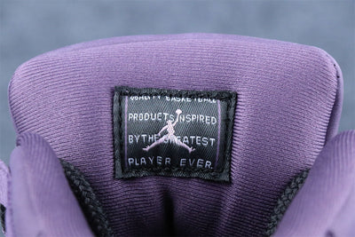 Air Jordan 11 Retro 'Mojave'