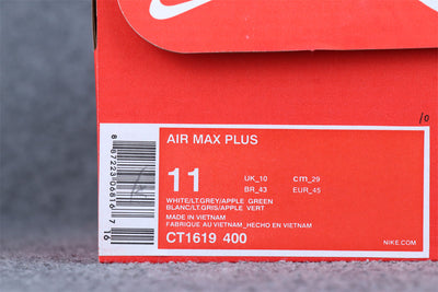 Air Max Plus 'Aurora Green'