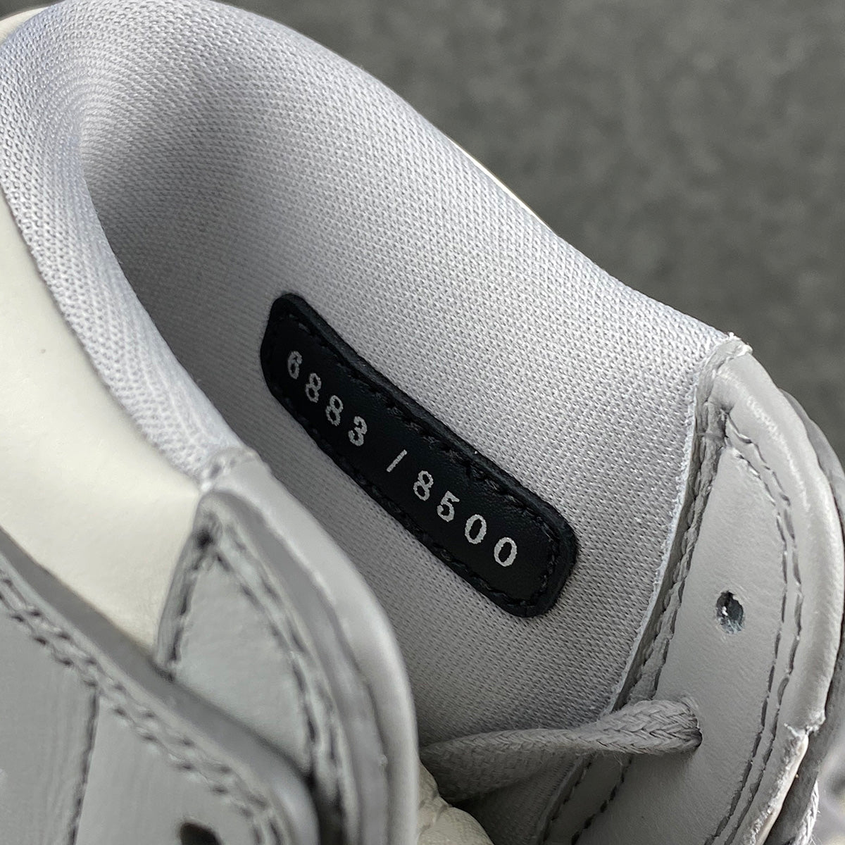Dior x Air Jordan 1 Haute