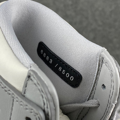 Dior x Air Jordan 1 Haute