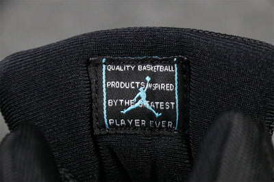 Air Jordan 11 Retro 'Gamma Blue'