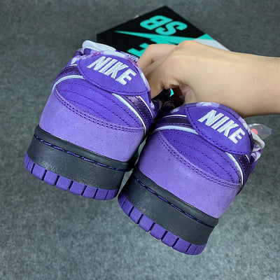 Concepts x Dunk Low SB 'Homard Violet'